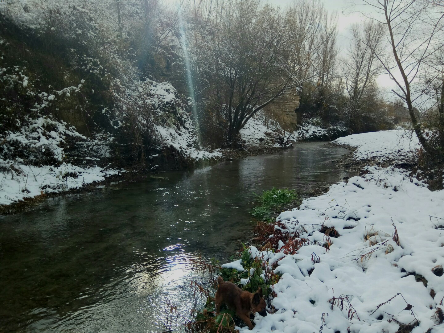 Nieve en el Río Tirón